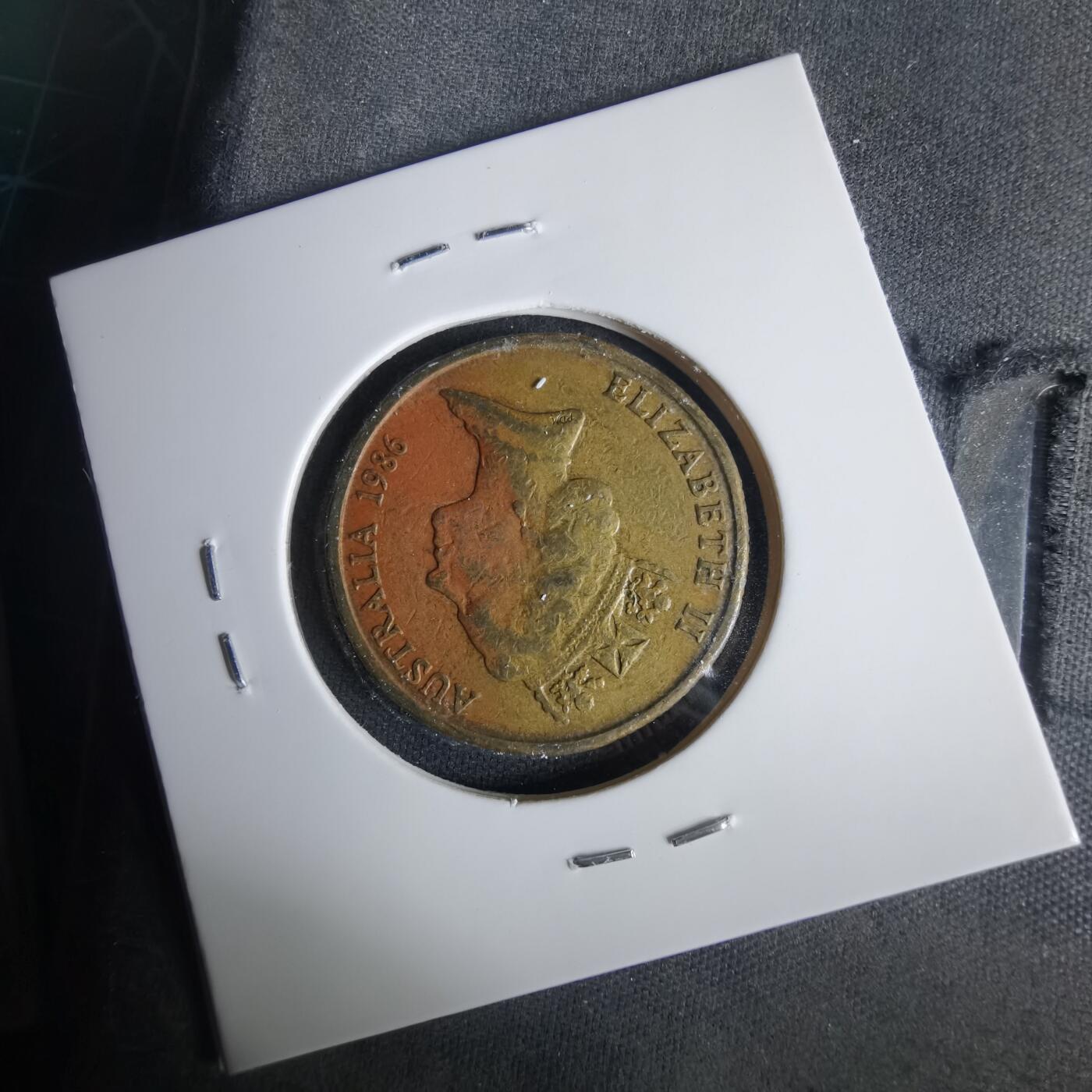 沼泽如烟--第1001场