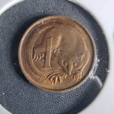 沼泽如烟--第1001场 - 澳大利亚1984年一分