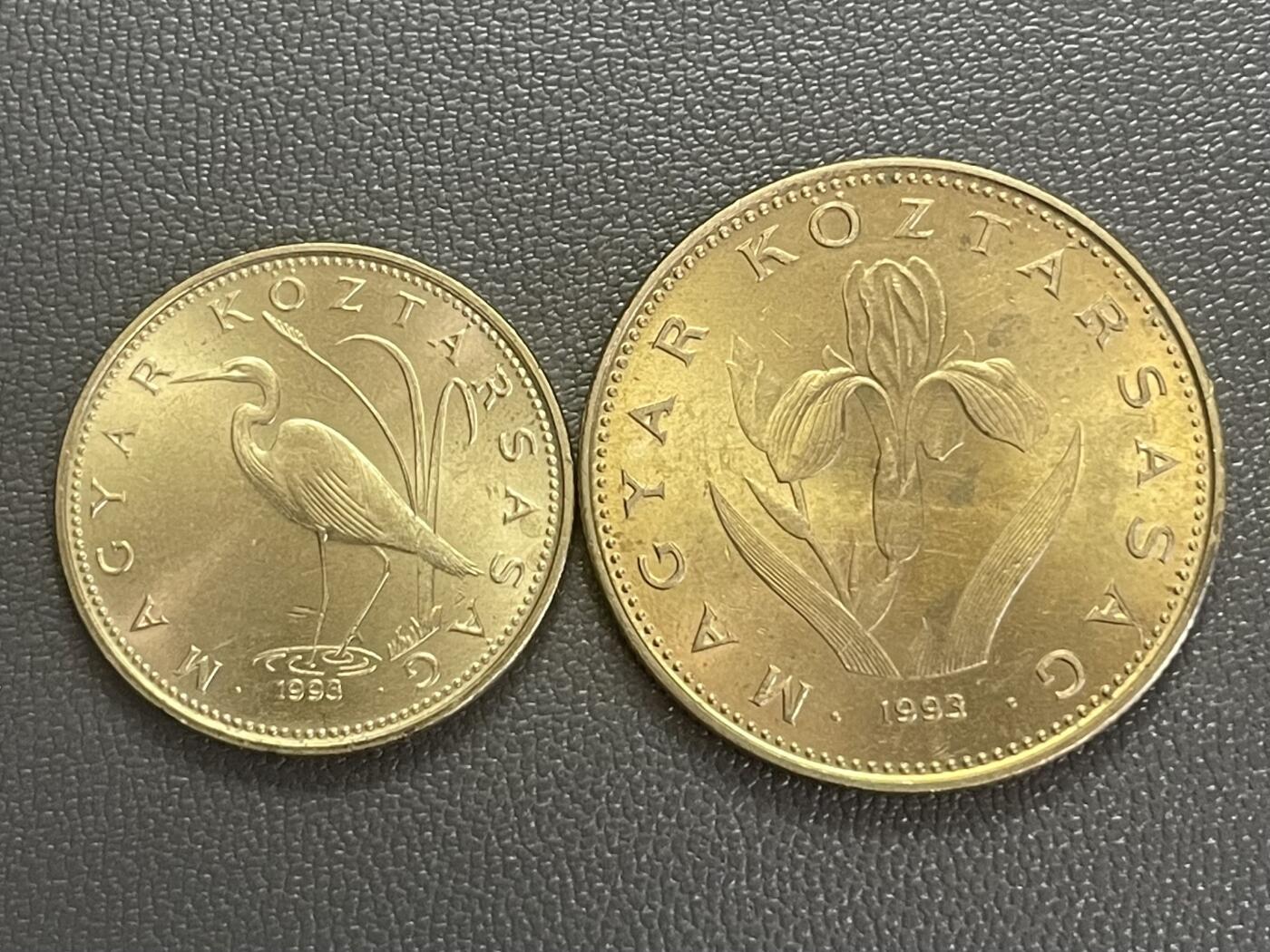 回流0218 新春快乐，马年大吉！ 匈牙利1993年5福林（苍鹭）、20福林（鸢尾花）