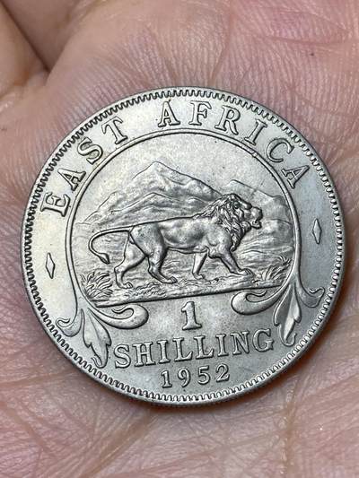 2026年第三十场(总第一百九十九场）英国一线回流散币特拍第二场(免佣金) - 原光好品–英属东非1952年1先令(乔治六世逝世年，第五版关门年)