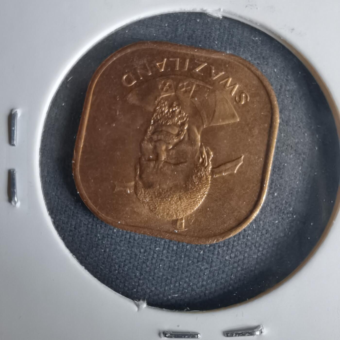 沼泽如烟--第1001场