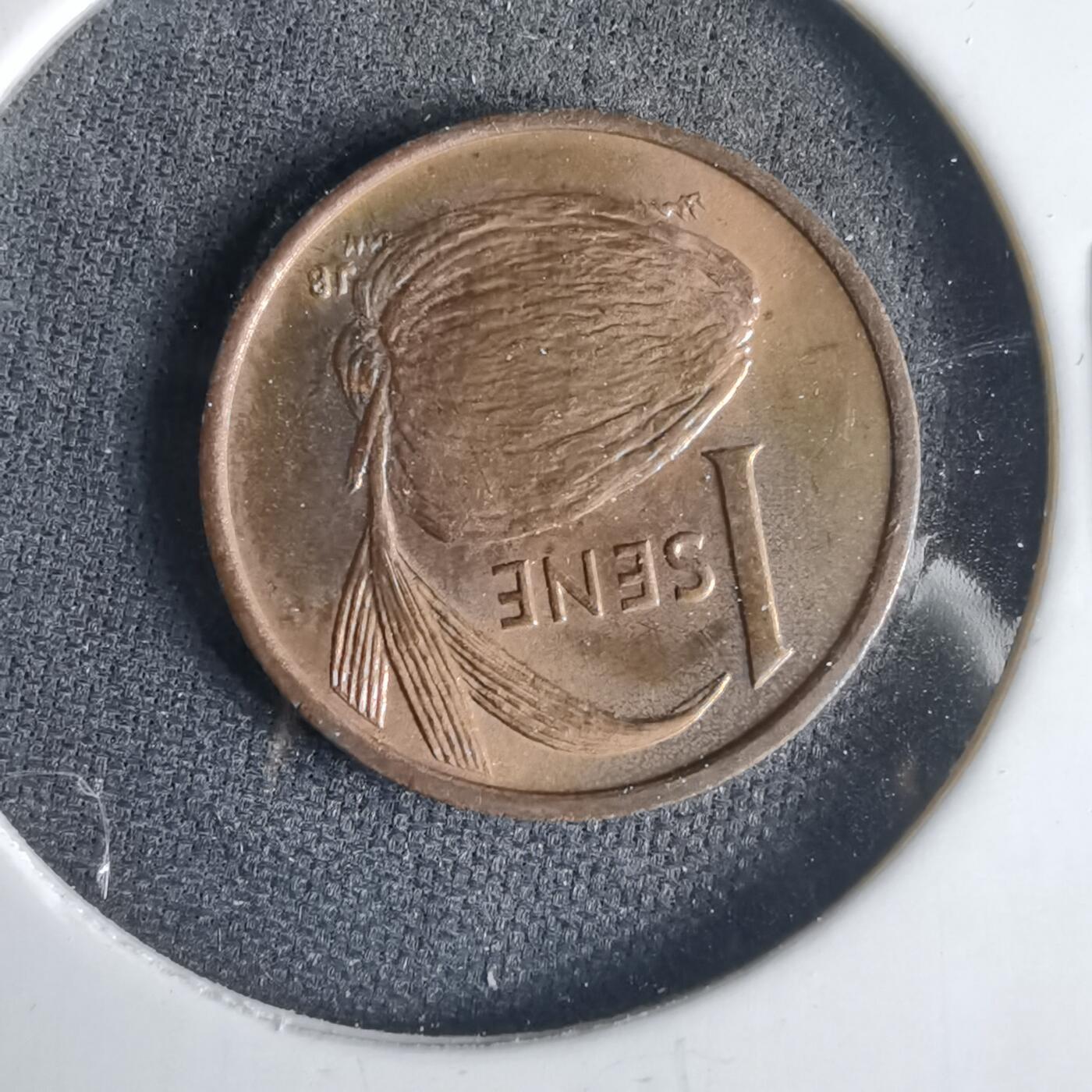 沼泽如烟--第1001场