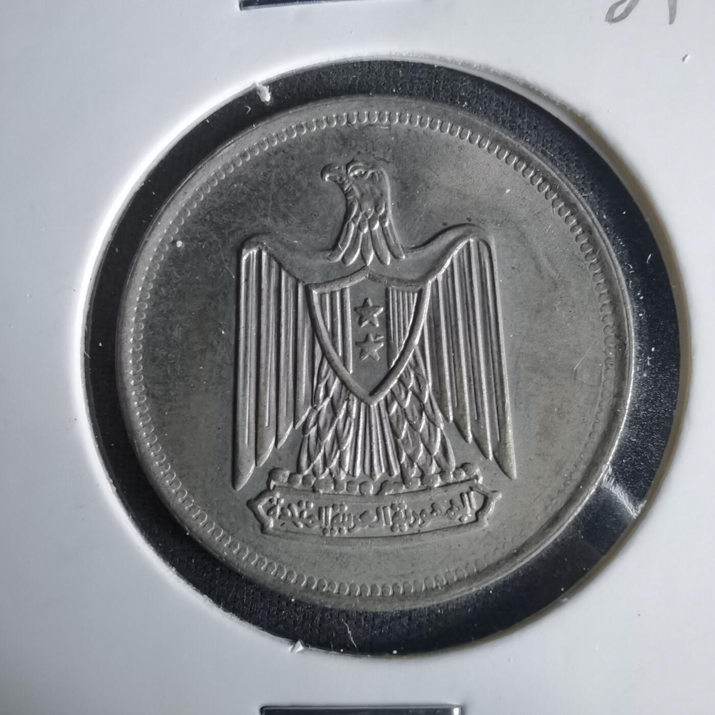 沼泽如烟--第1001场