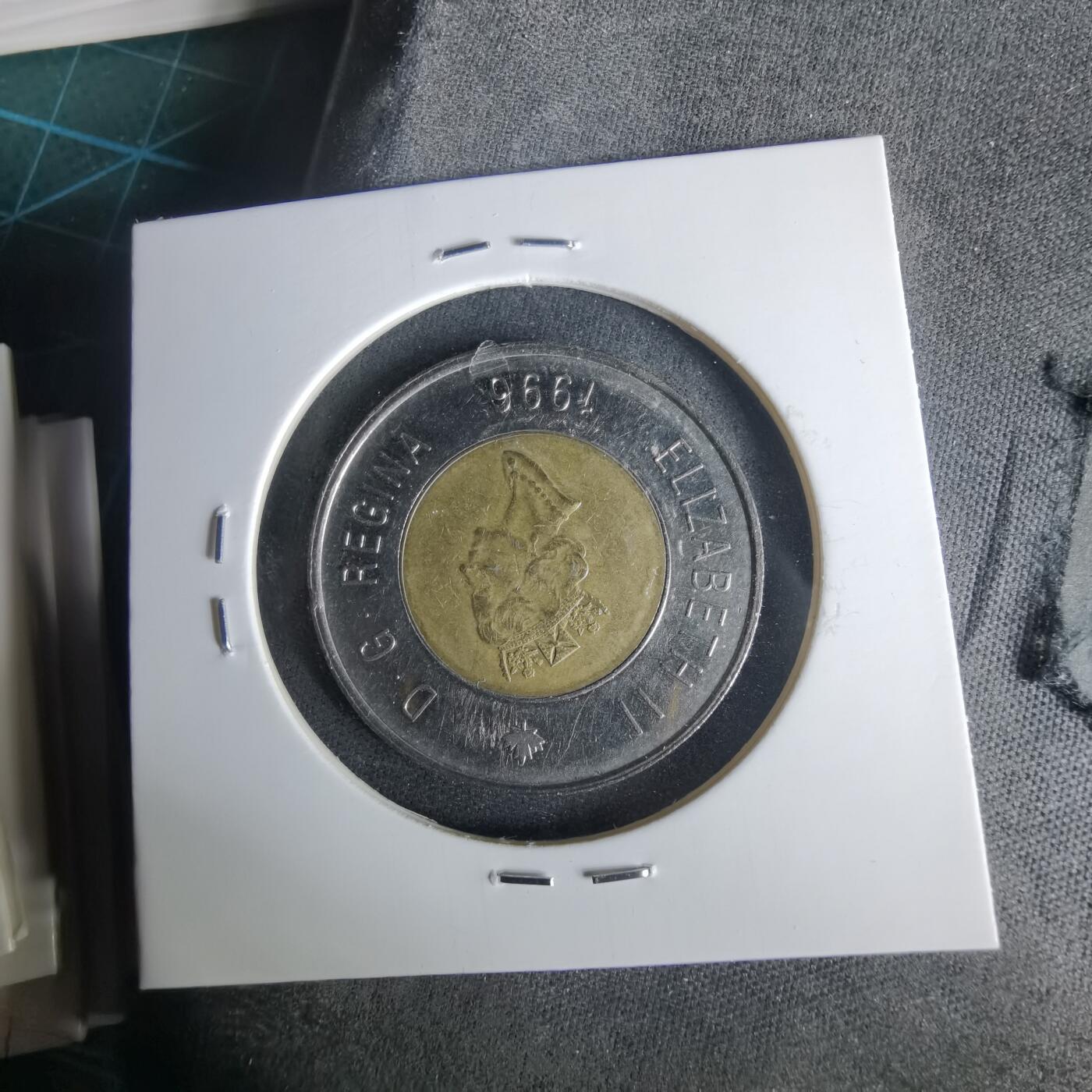 沼泽如烟--第1001场