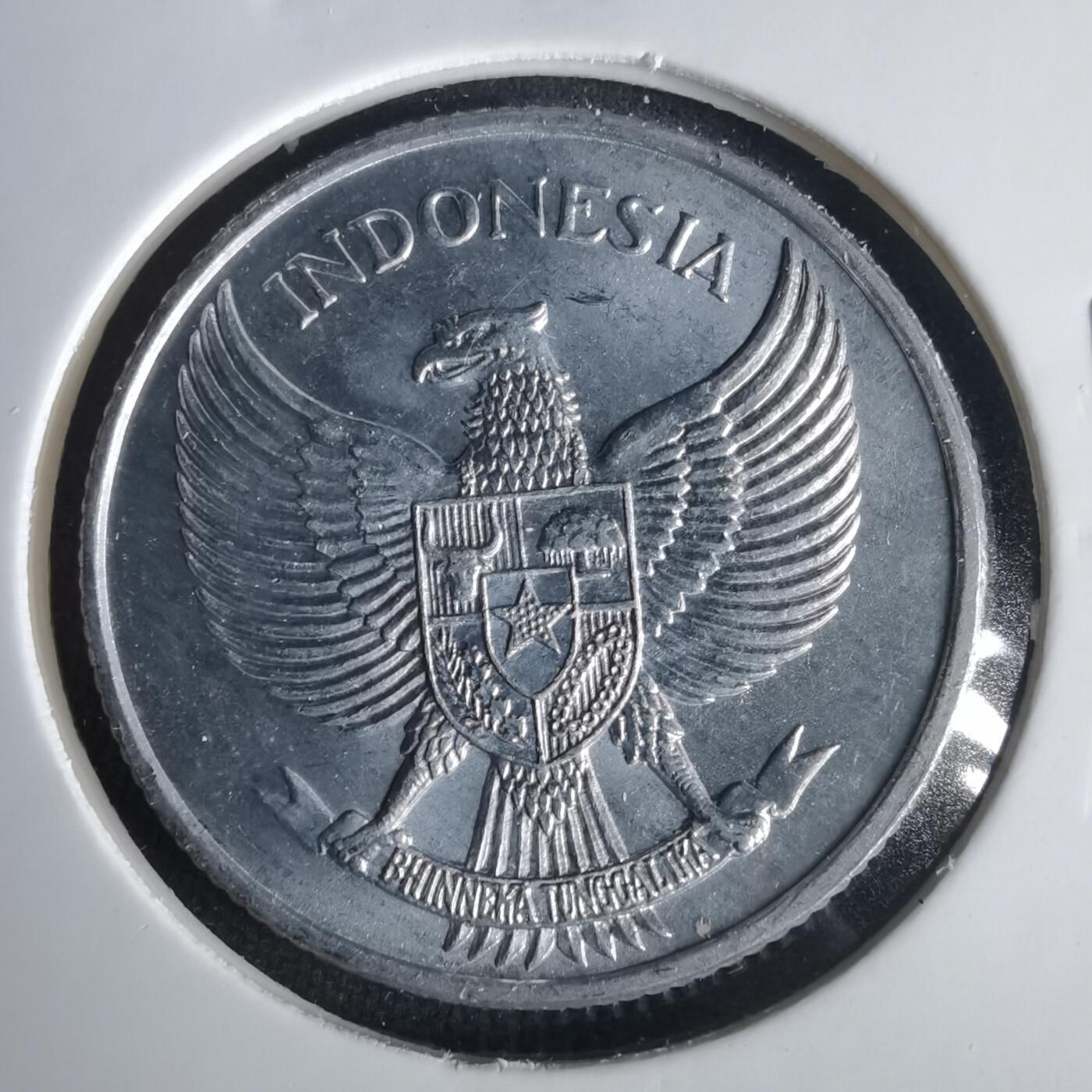 沼泽如烟--第1001场 印度尼西亚1955年25分