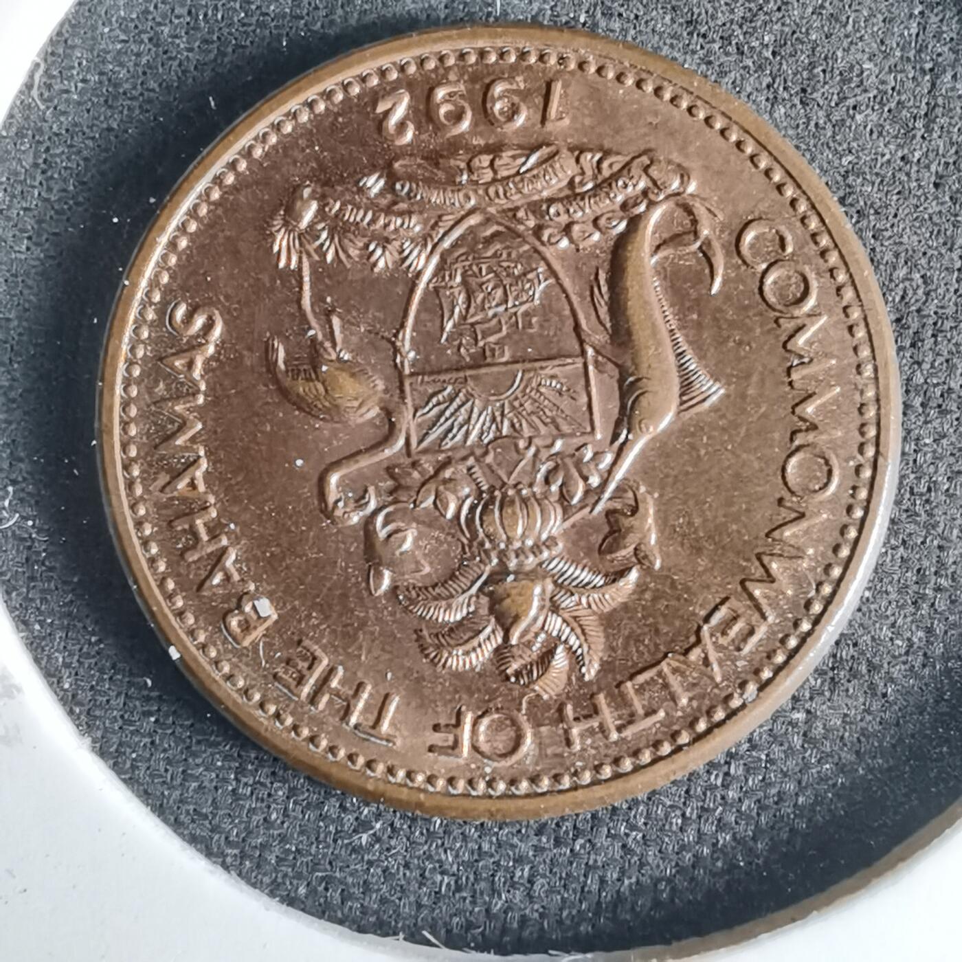 沼泽如烟--第1001场