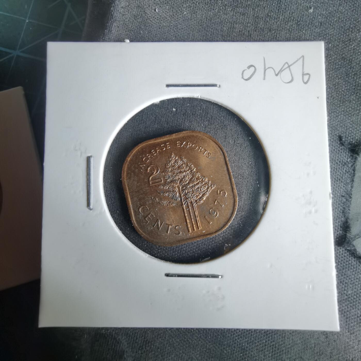 沼泽如烟--第1001场