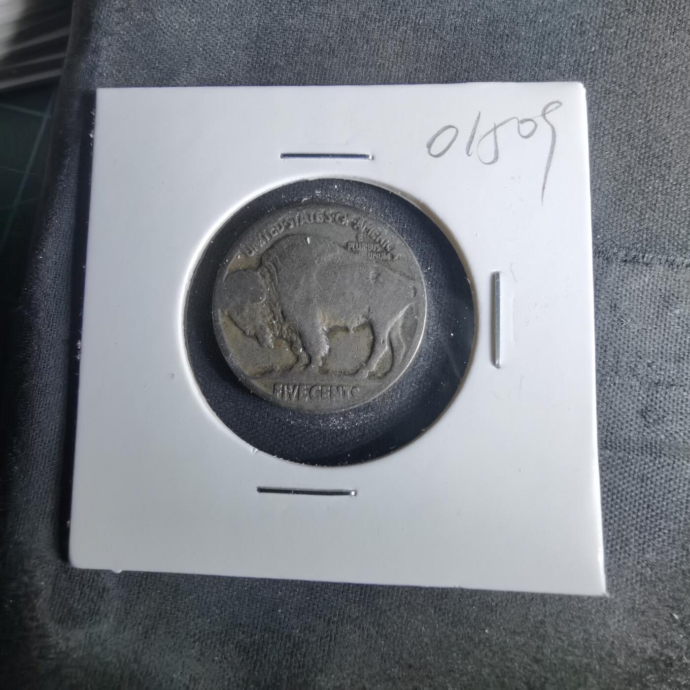 沼泽如烟--第1001场 美国野牛五分