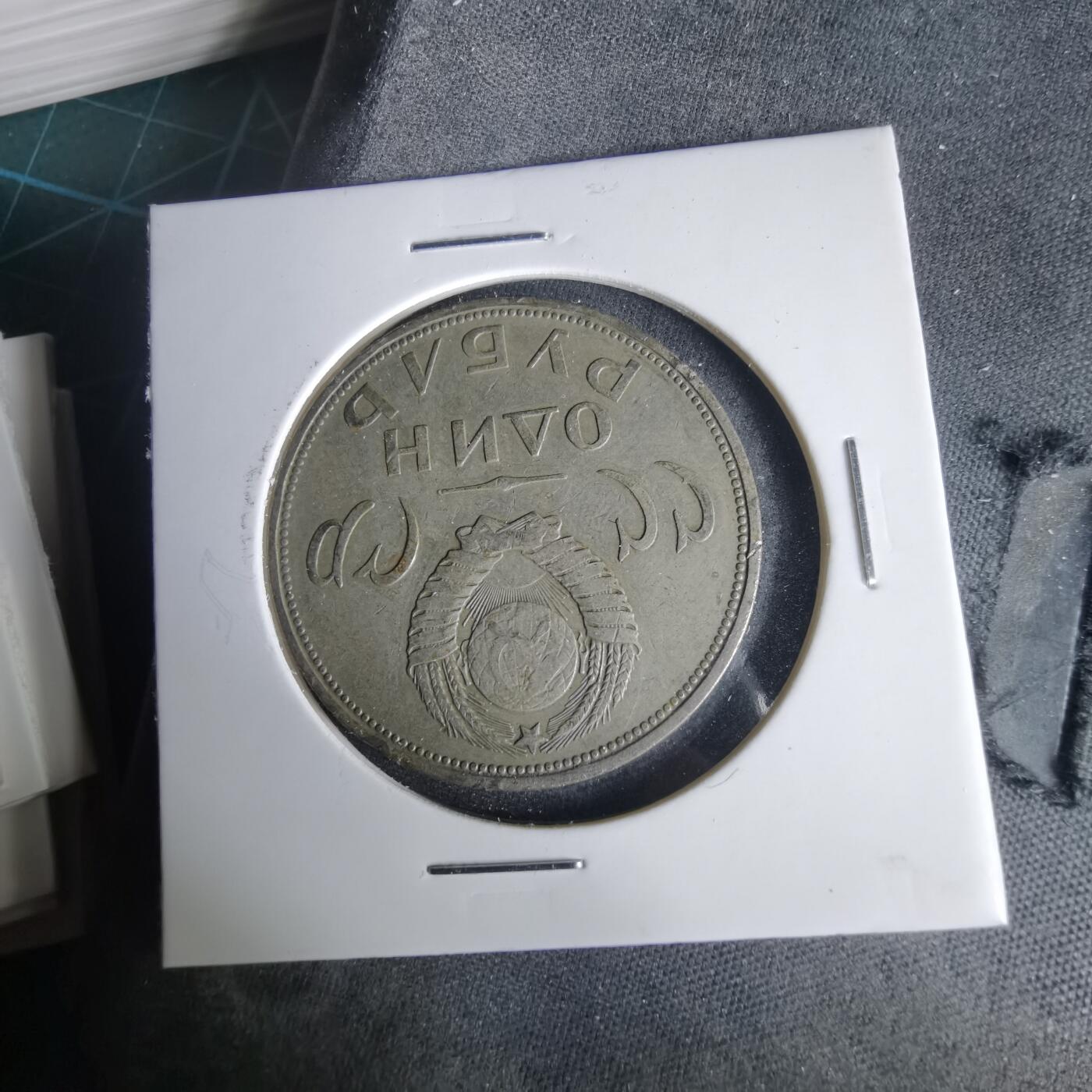 沼泽如烟--第1001场