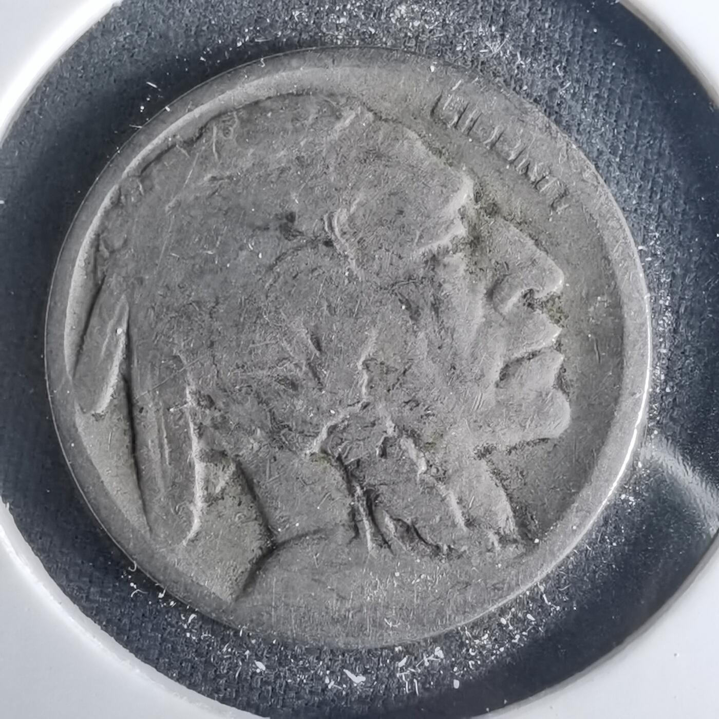 沼泽如烟--第1001场 美国野牛五分