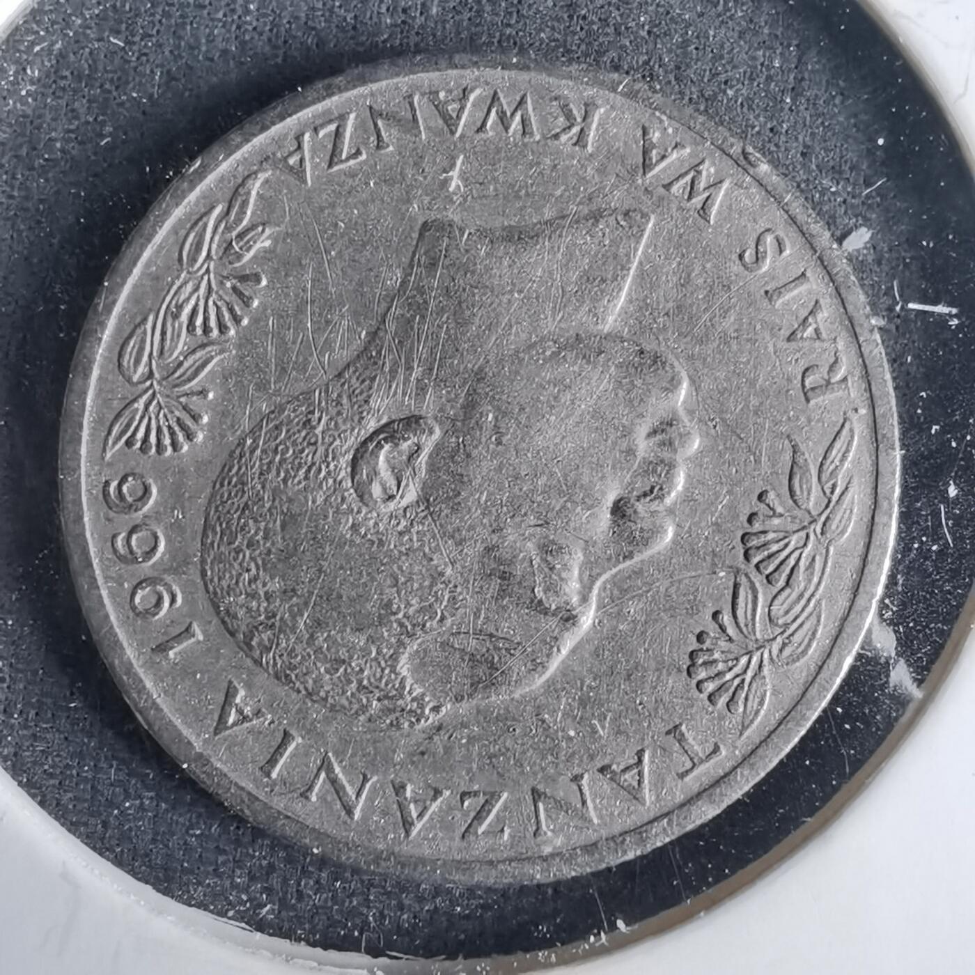 沼泽如烟--第1001场