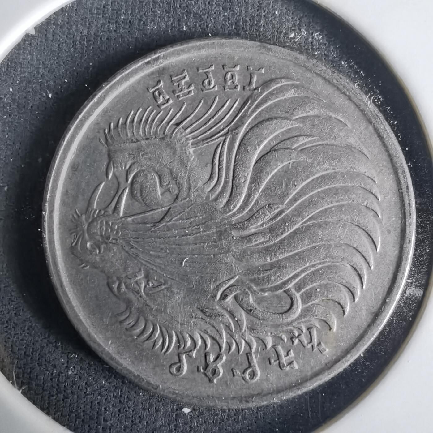 沼泽如烟--第1001场 埃塞俄比亚