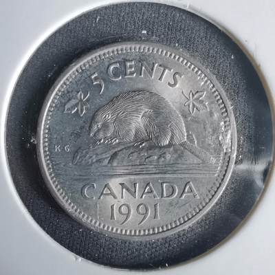 沼泽如烟--第1001场 - 加拿大1991年五分