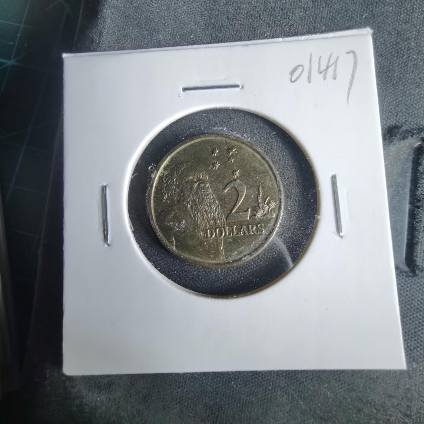 沼泽如烟--第1001场