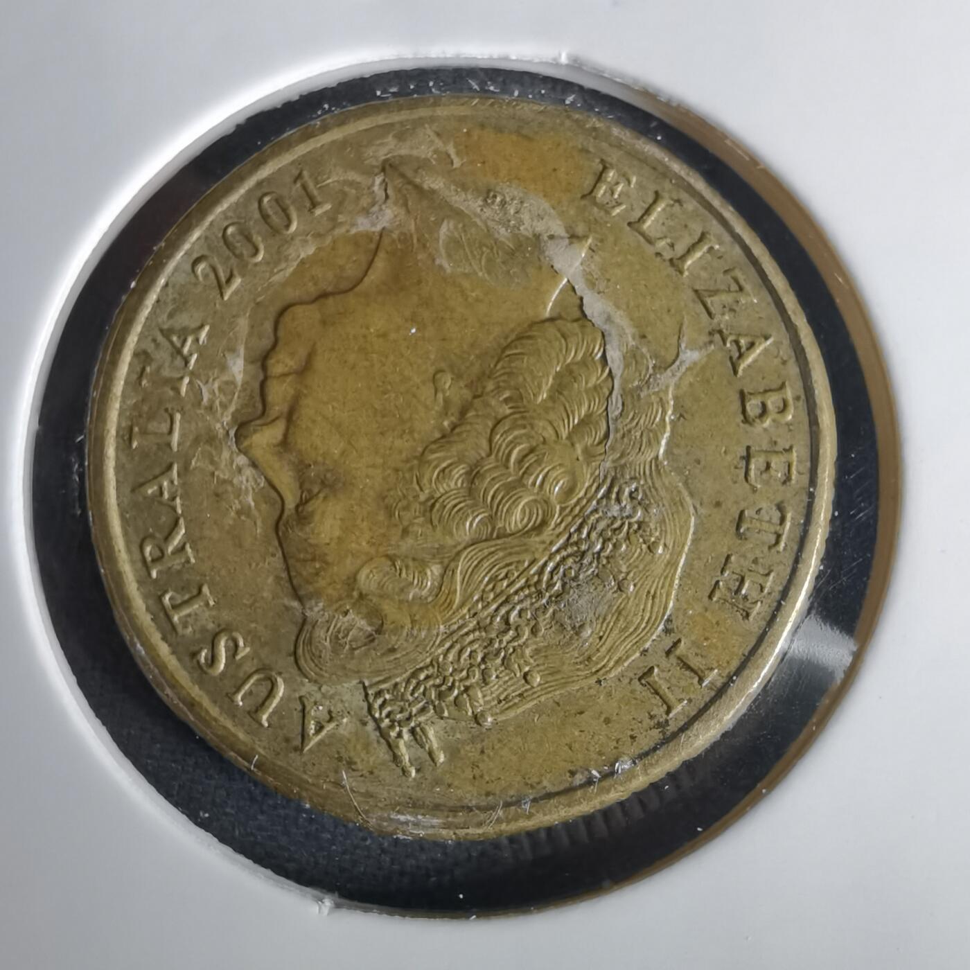 沼泽如烟--第1001场