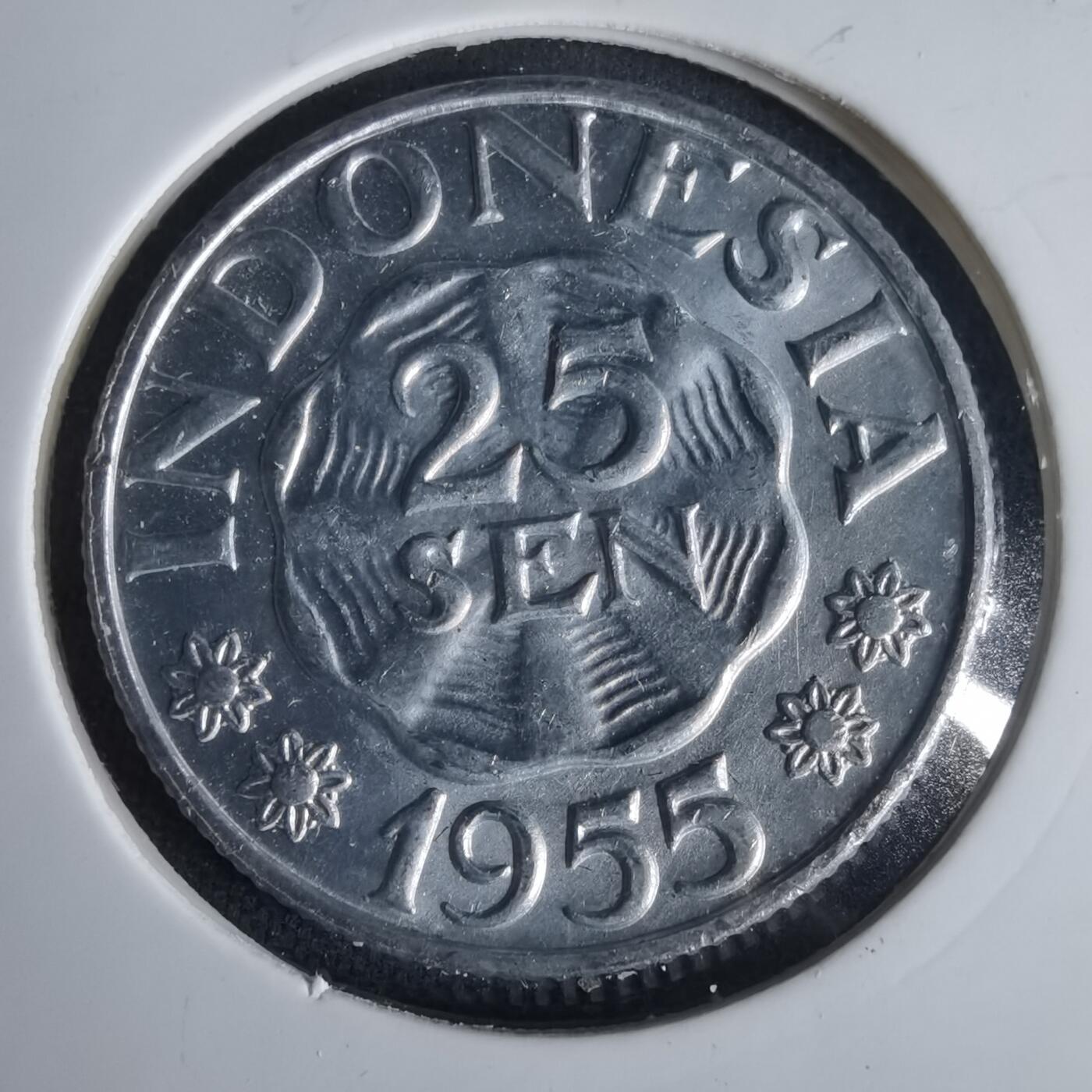 沼泽如烟--第1001场 印度尼西亚1955年25分