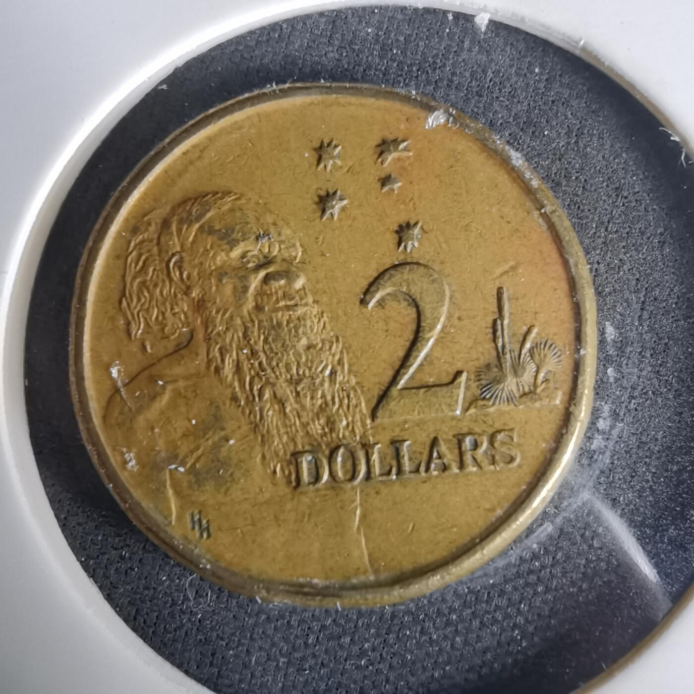 沼泽如烟--第1001场