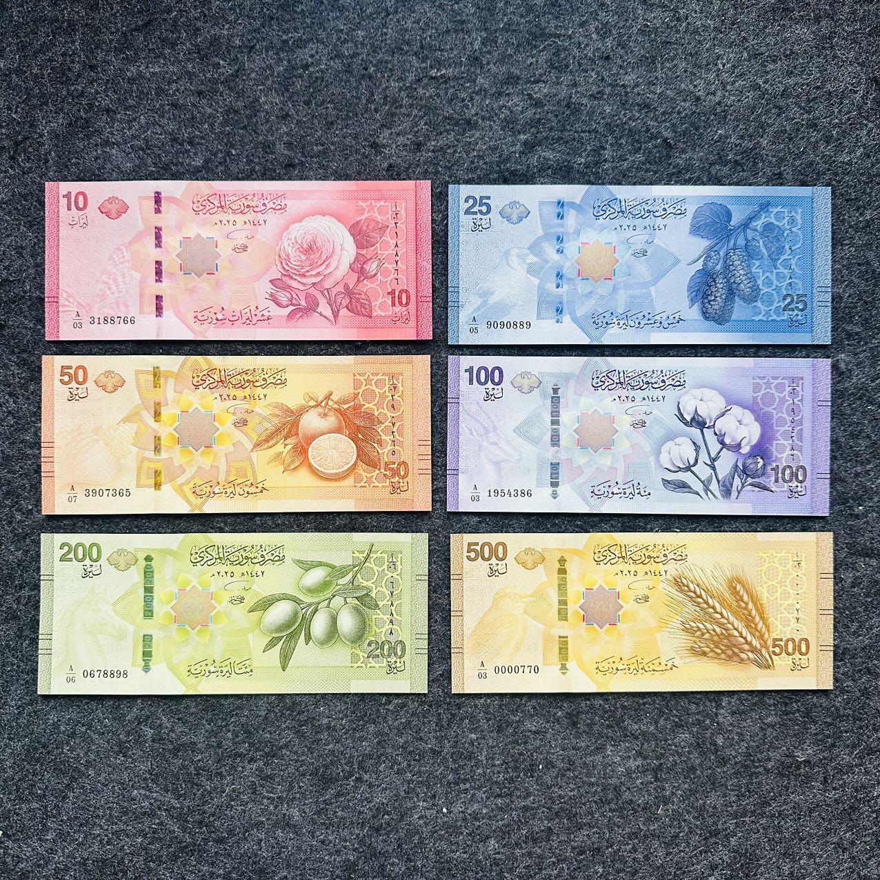 叙利亚2026年10-25-50-100-200-500镑，全套