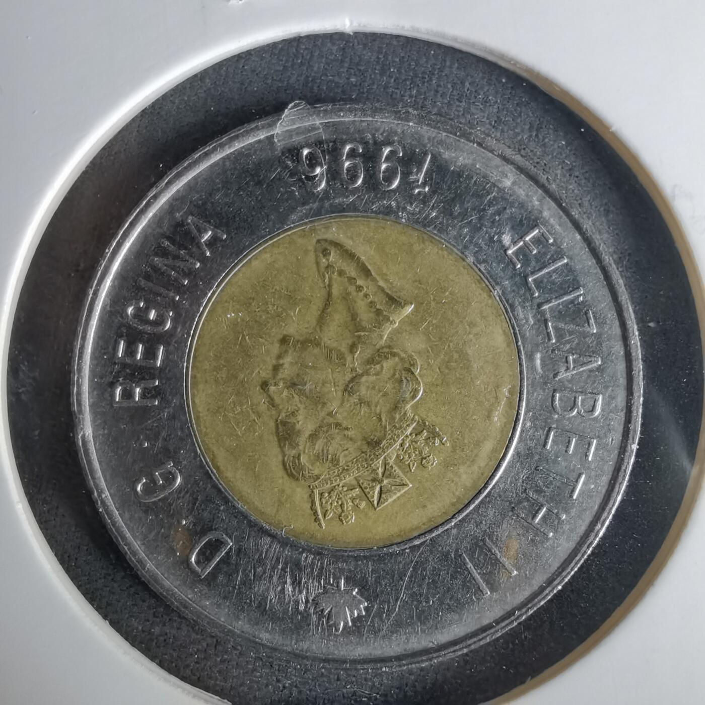 沼泽如烟--第1001场