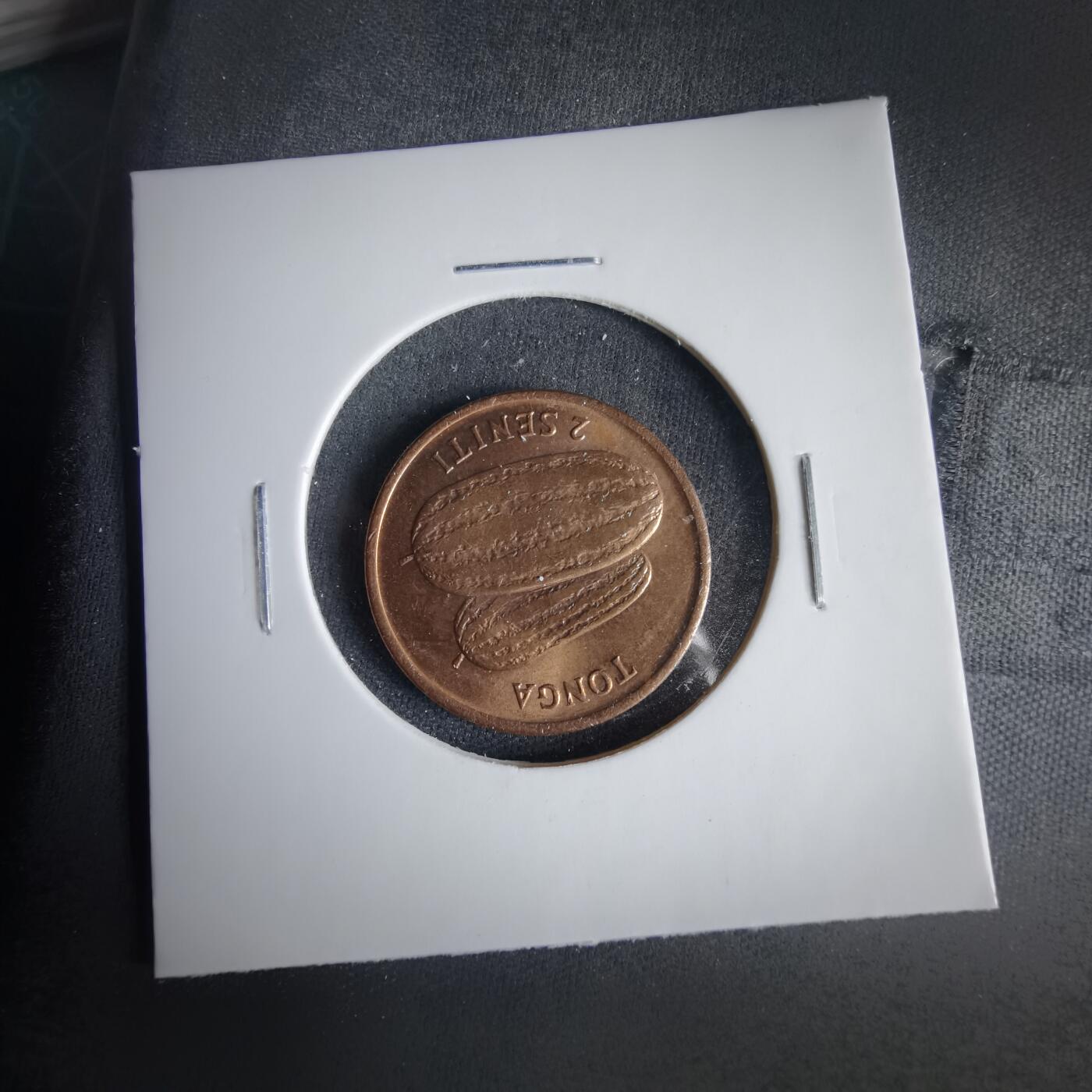 沼泽如烟--第1001场