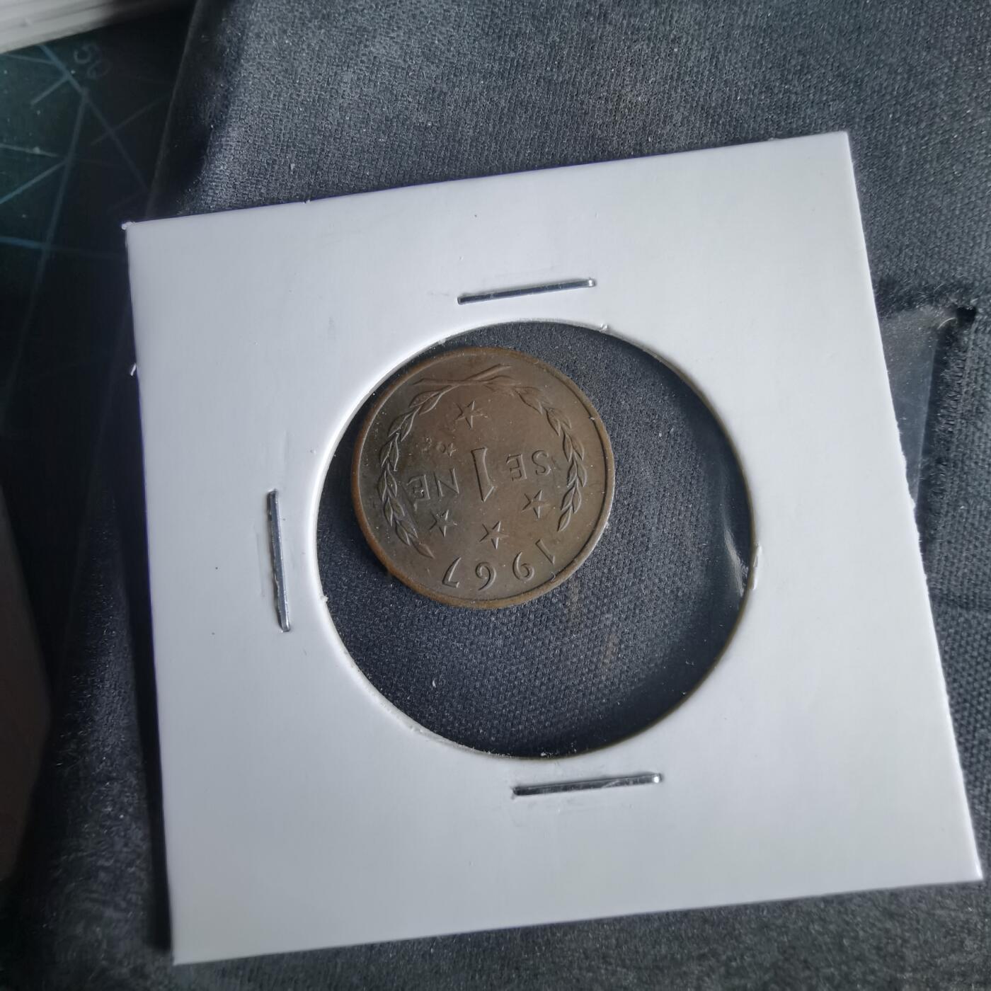 沼泽如烟--第1001场