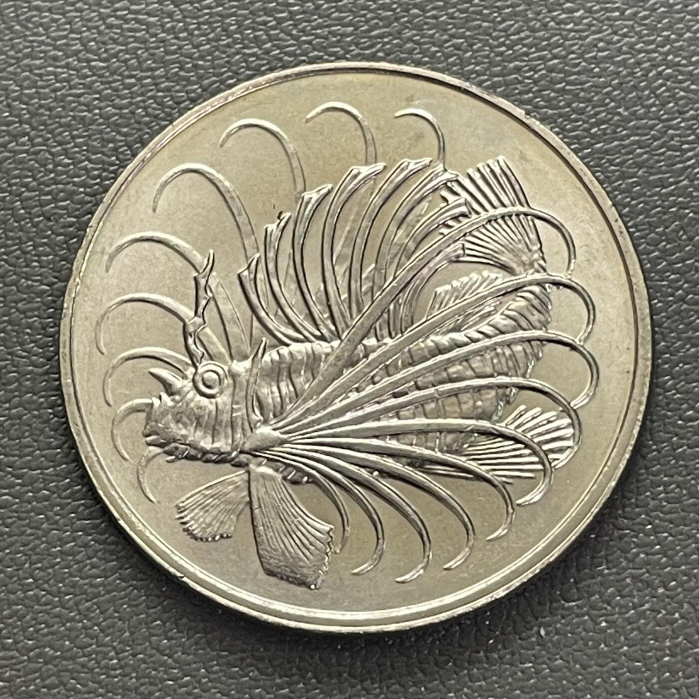 回流0218 新春快乐，马年大吉！