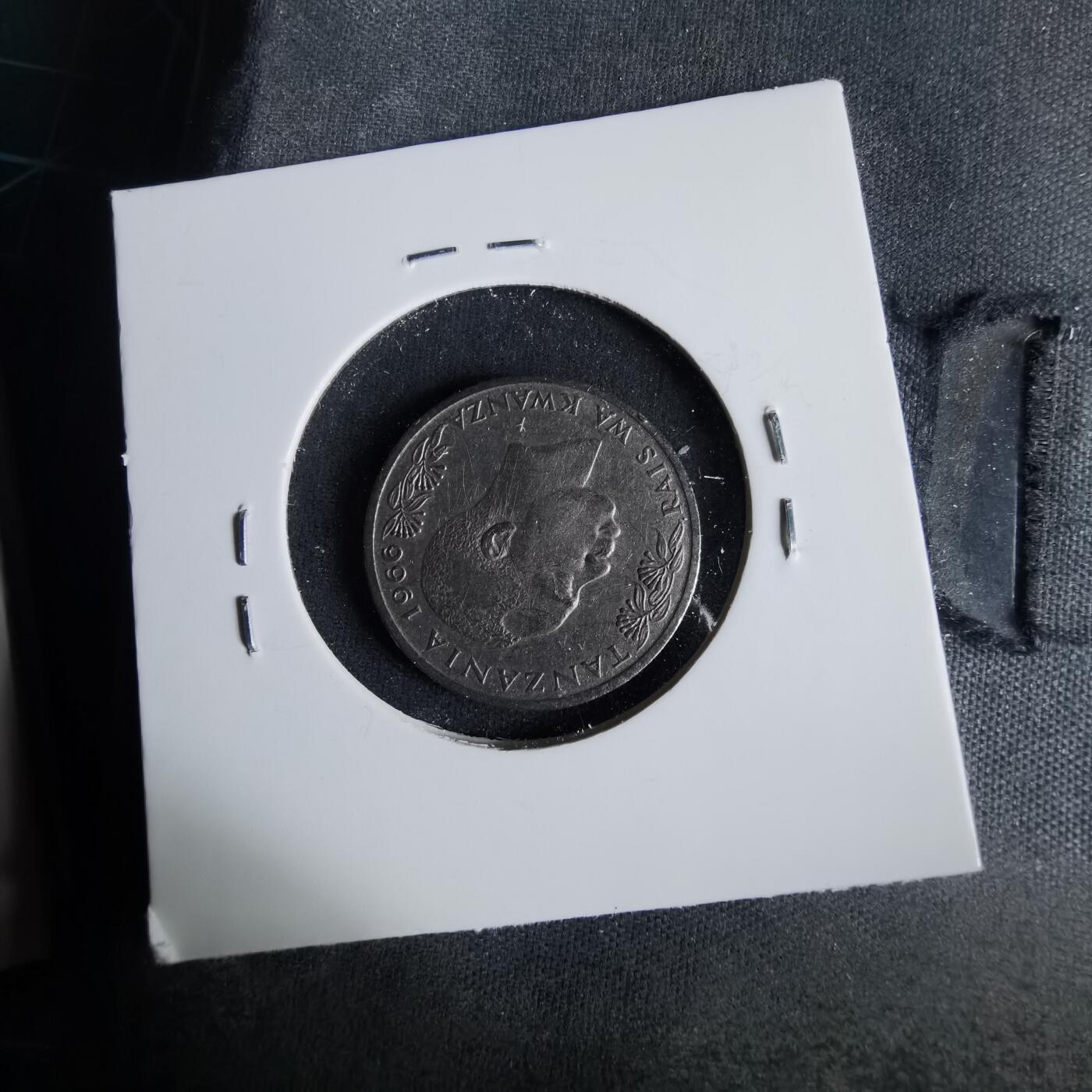 沼泽如烟--第1001场