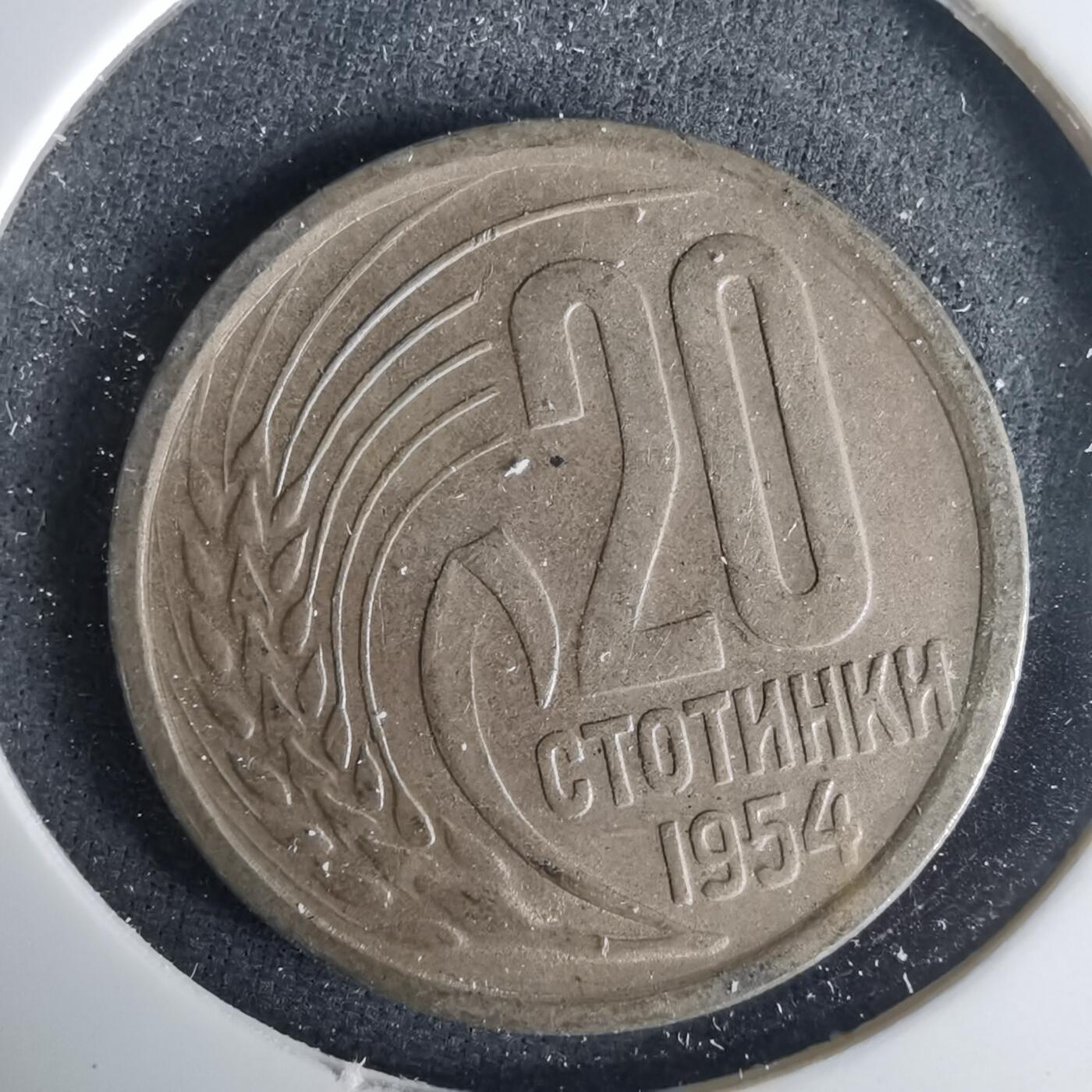 沼泽如烟--第1001场