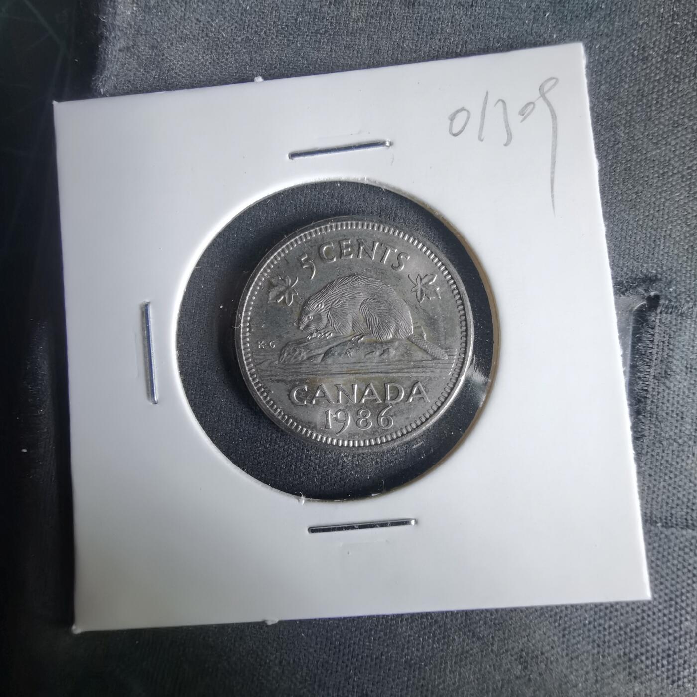 沼泽如烟--第1001场