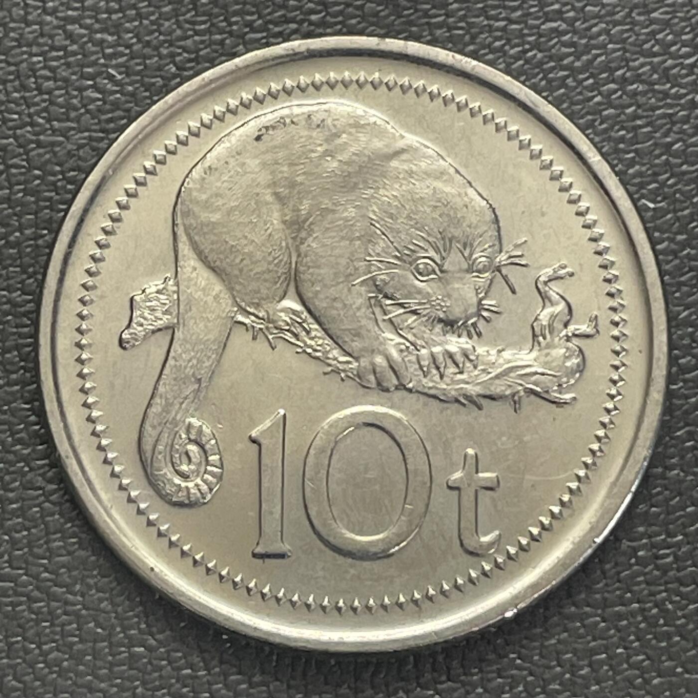 回流0218 新春快乐，马年大吉！ 巴布亚新几内亚2010年10分 斑尾袋鼬