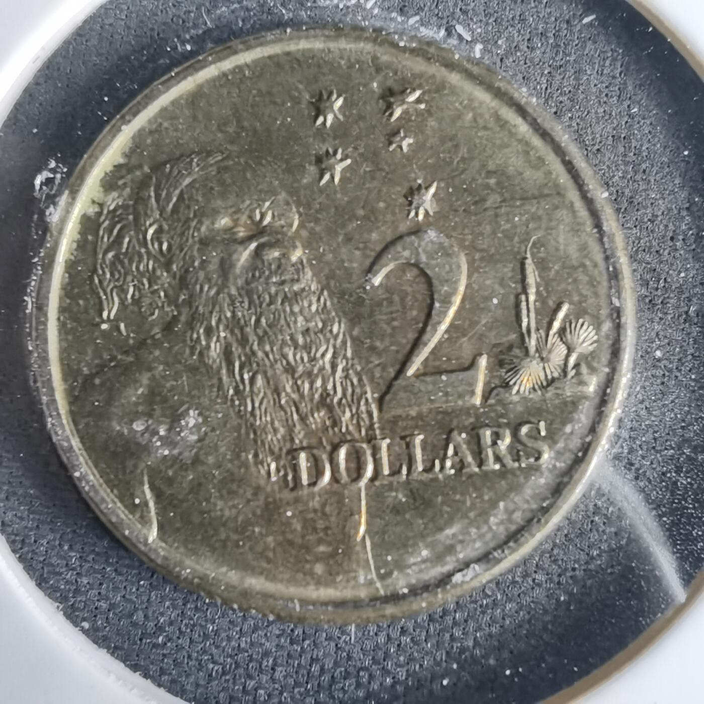 沼泽如烟--第1001场