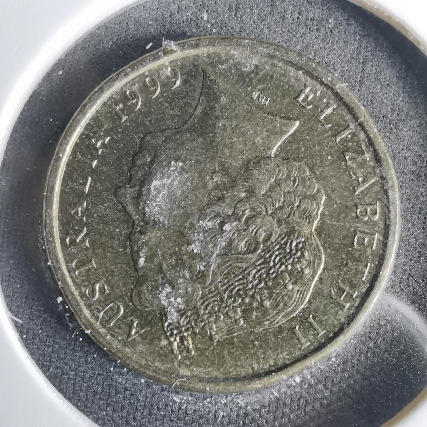 沼泽如烟--第1001场