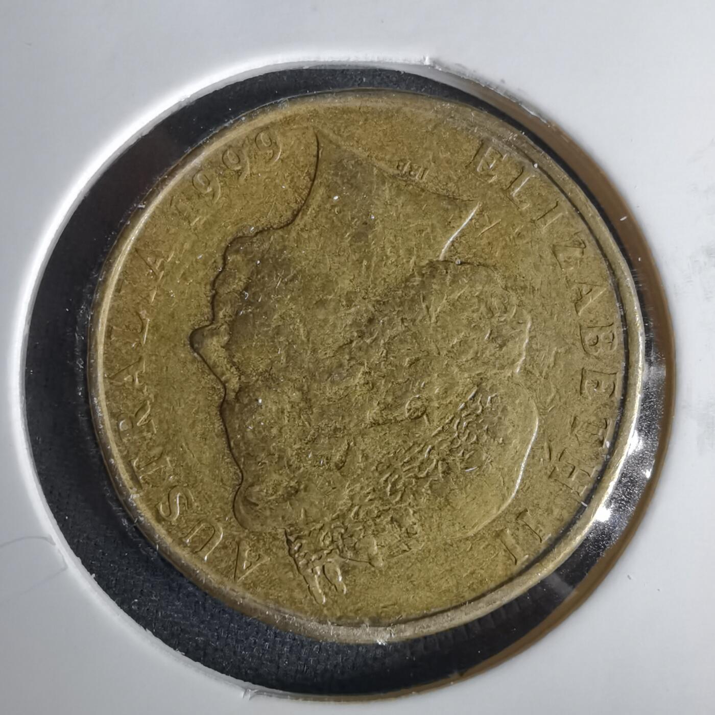 沼泽如烟--第1001场