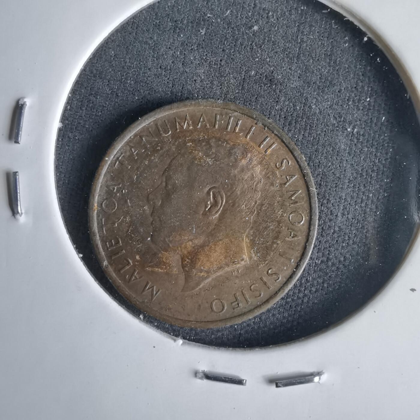 沼泽如烟--第1001场