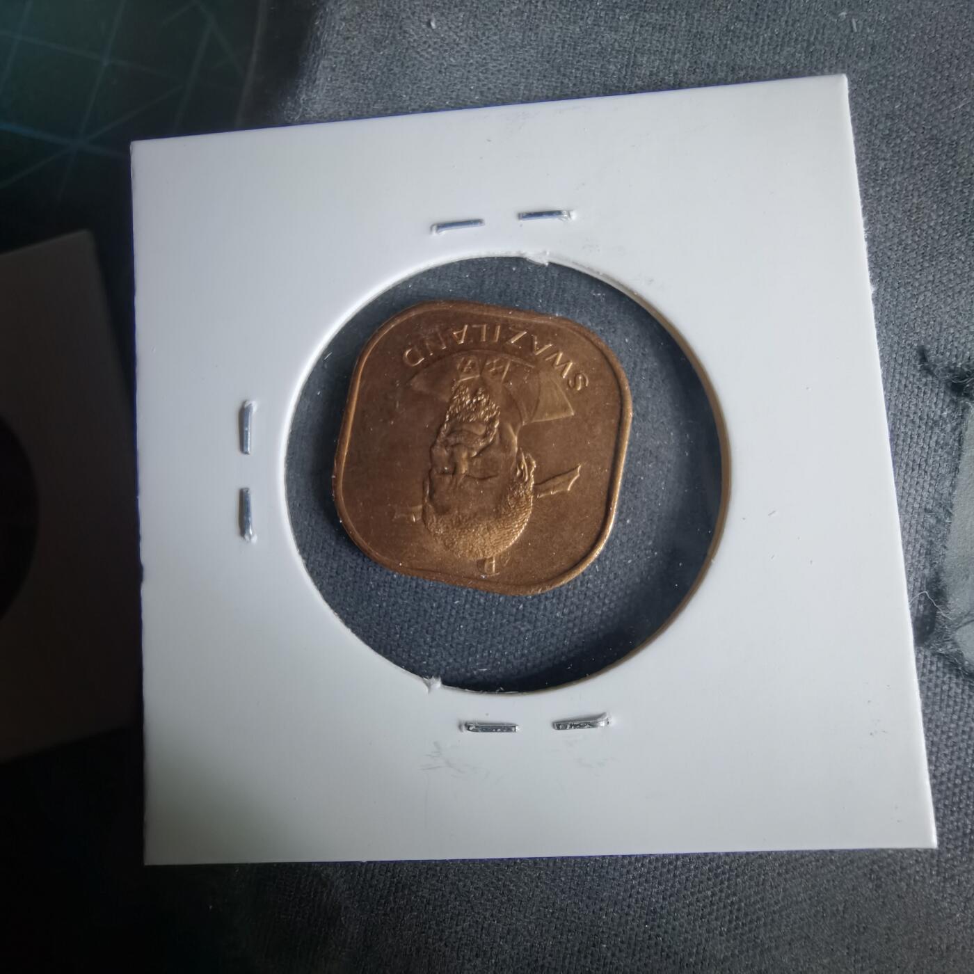 沼泽如烟--第1001场