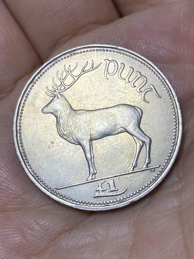 2026年第三十场(总第一百九十九场）英国一线回流散币特拍第二场(免佣金) - 爱尔兰🇮🇪1990年1镑(共和国时期第二套)