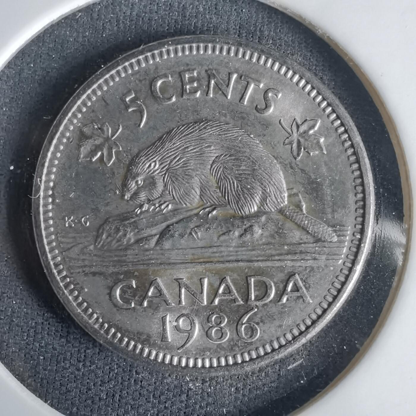 沼泽如烟--第1001场