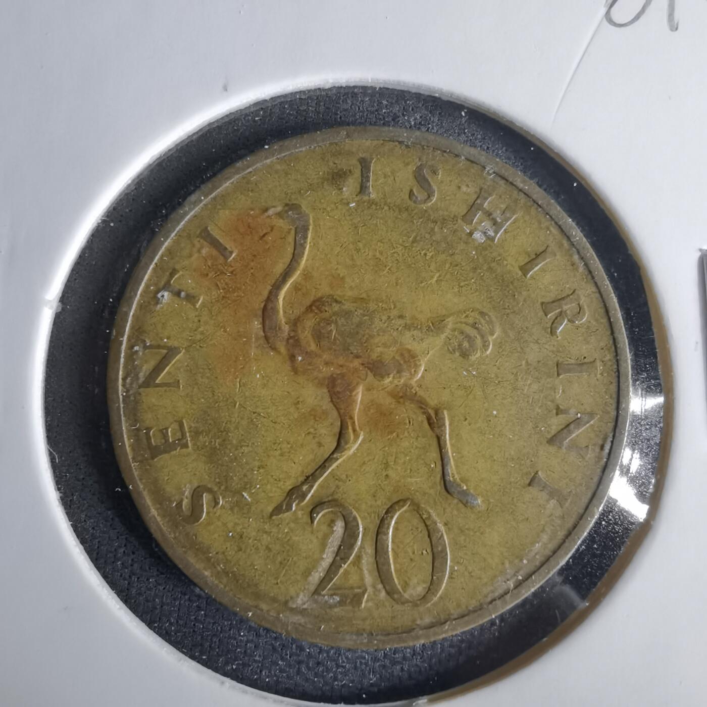 沼泽如烟--第1001场