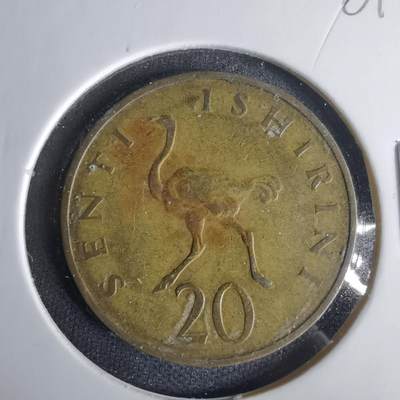 沼泽如烟--第1001场 - 坦桑尼亚1966年20分