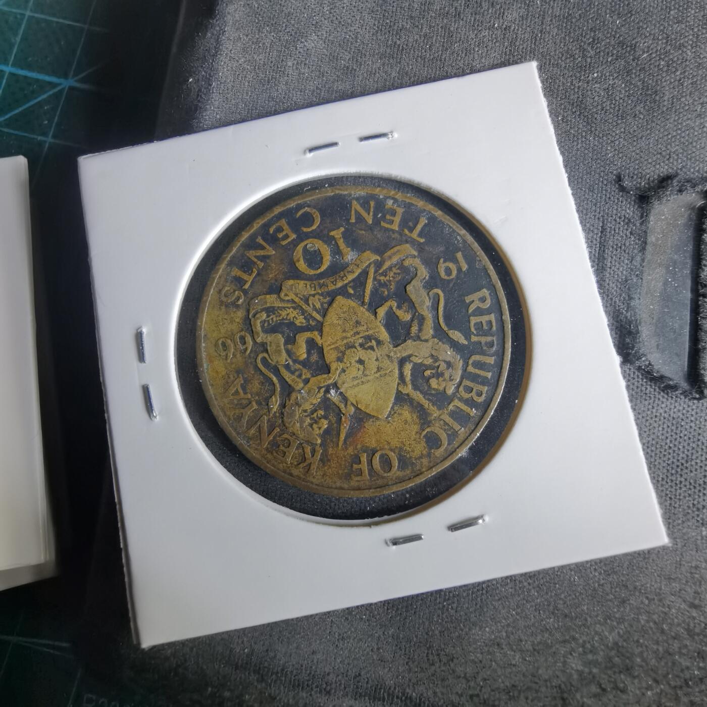 沼泽如烟--第1001场