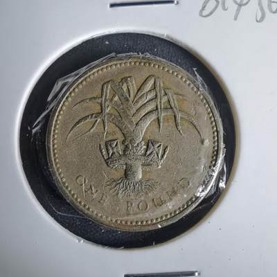 沼泽如烟--第1001场 - 英国1985年一元