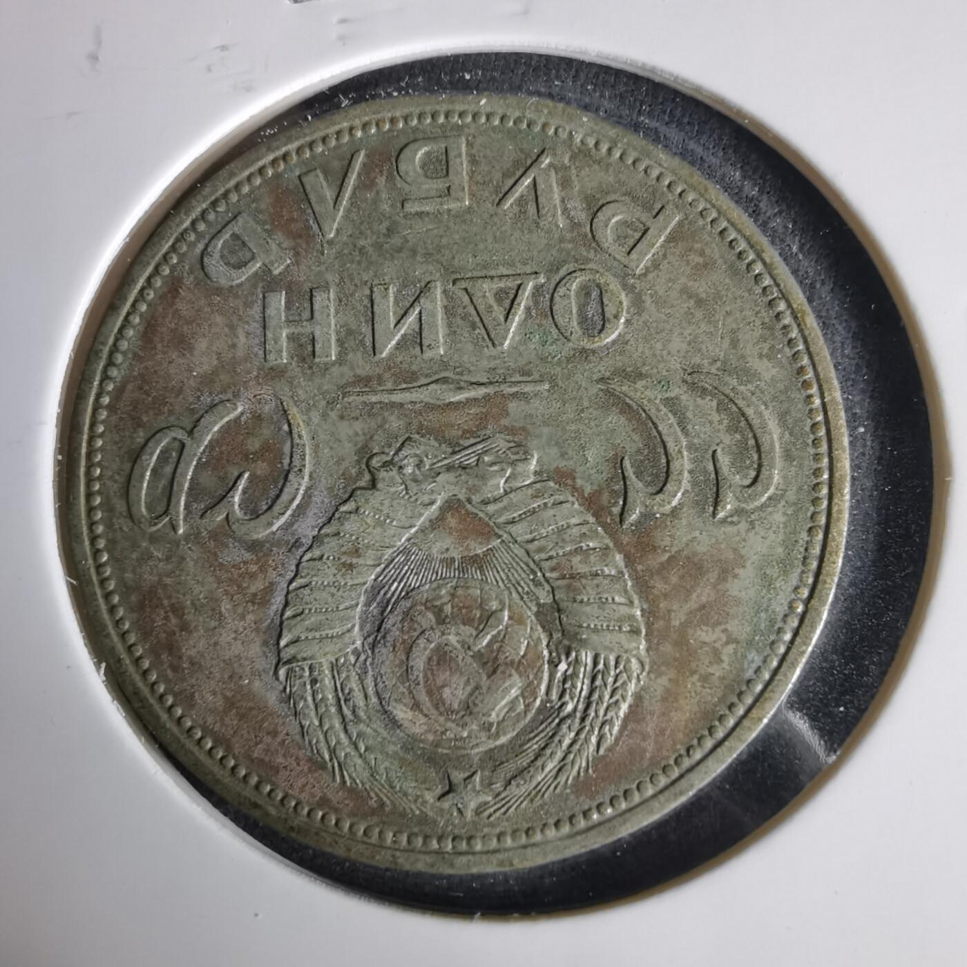 沼泽如烟--第1001场