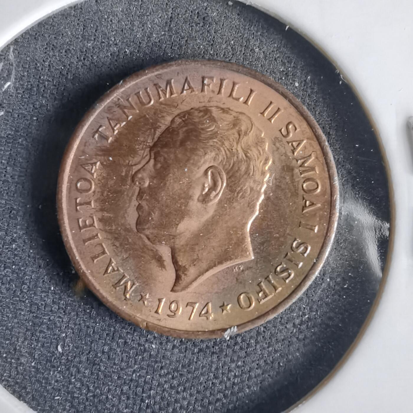 沼泽如烟--第1001场