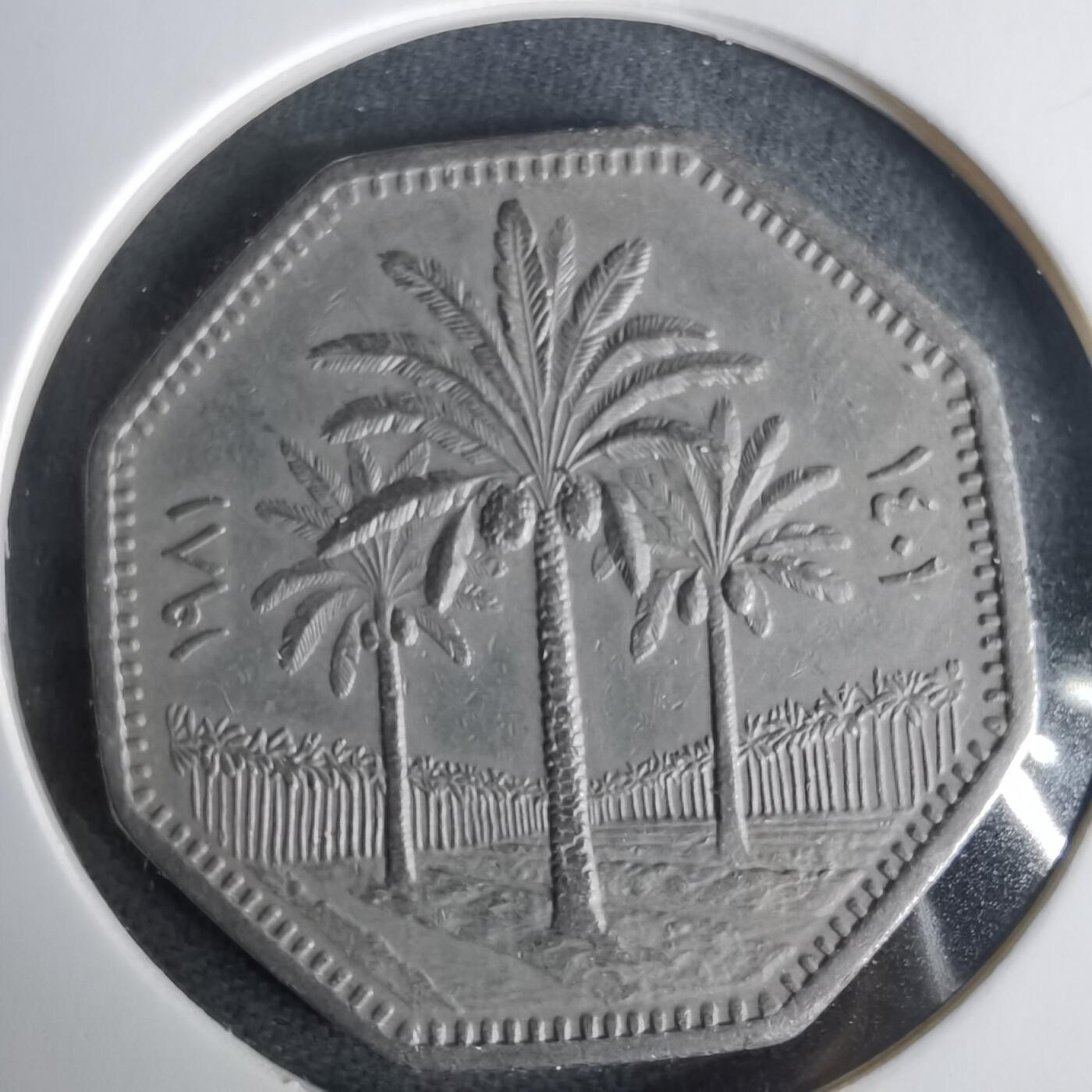 沼泽如烟--第1001场 伊拉克