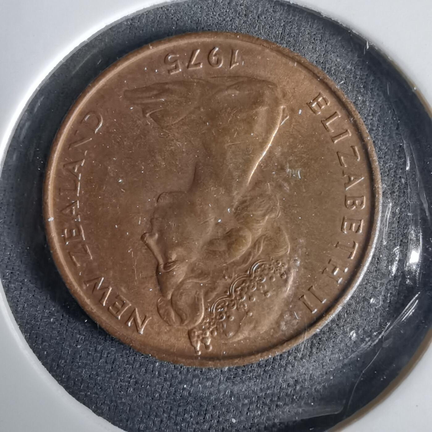 沼泽如烟--第1001场