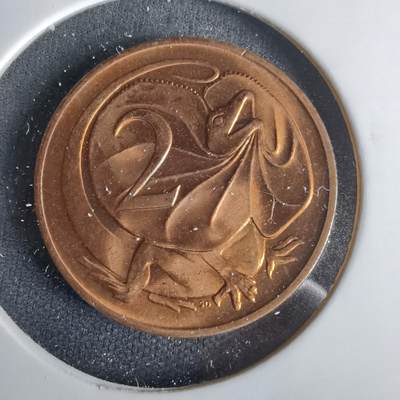 沼泽如烟--第1001场 - 澳大利亚1984年二分