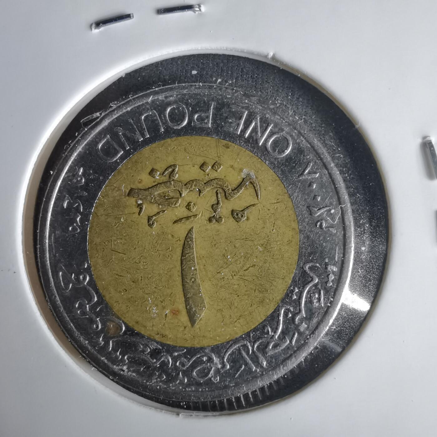 沼泽如烟--第1001场 埃及2008年一磅