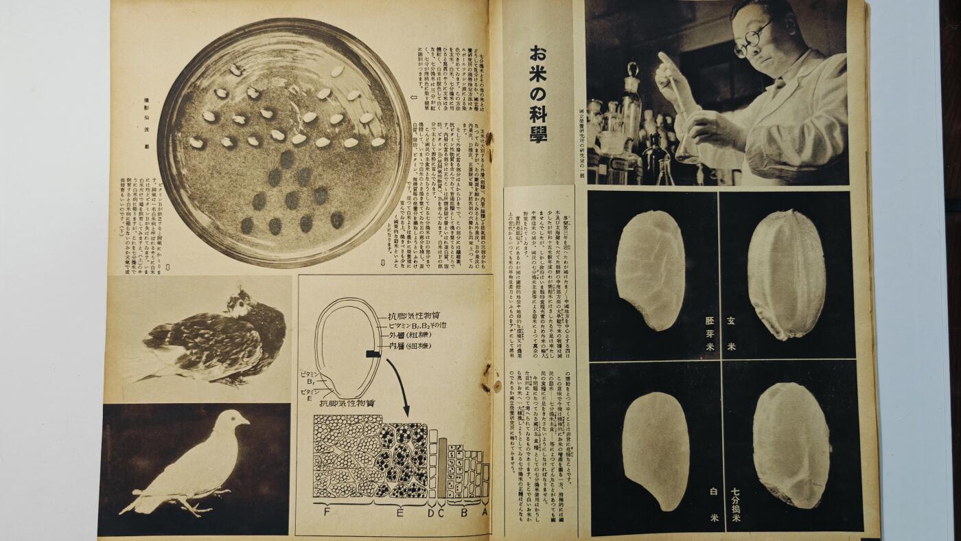 东亚勋章徽章主题拍卖8（120件） 日本内阁情报编辑部发行 写真周报（五族共和 满蒙开扩团  满洲掘金 日军参谋总长闲院宫载仁亲王视察苏州杭州上海 汕头报道批判蒋无能  大米仙人 欧洲战报苏联波兰关系紧张等）