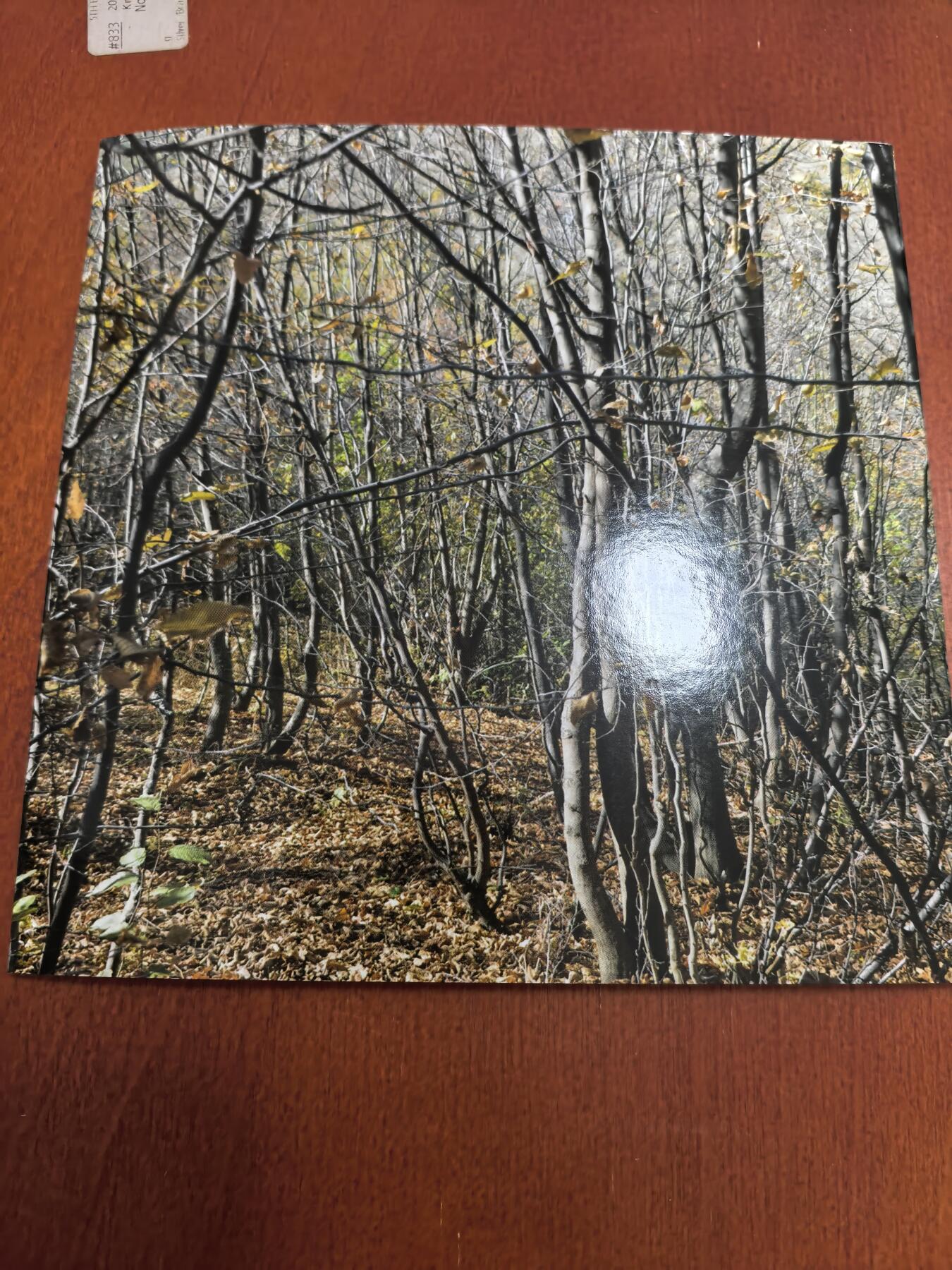 长老汇马年精选第二场拍卖 2014亚美尼亚6枚铜币，卡装