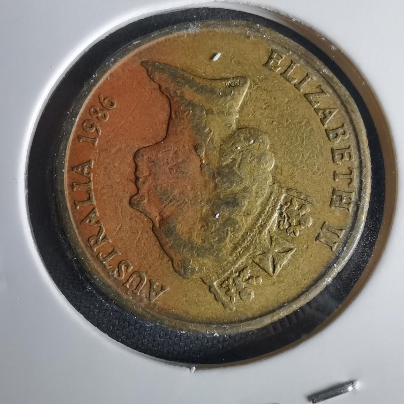 沼泽如烟--第1001场